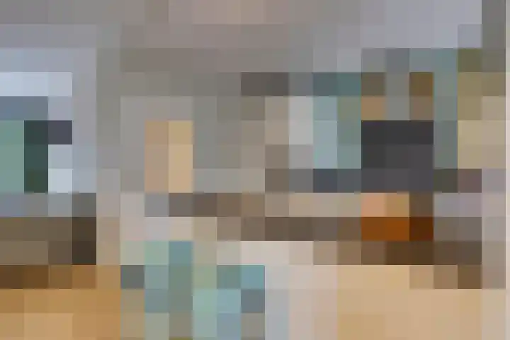 Amerikalaan 30 Son en Breugel thumbnail 26