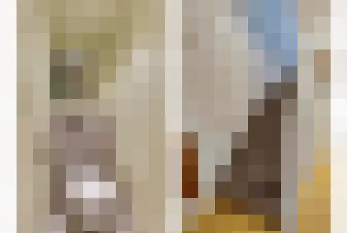 Amerikalaan 30 Son en Breugel thumbnail 27