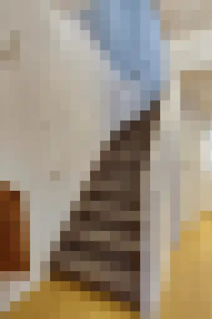 Amerikalaan 30 Son en Breugel thumbnail 29