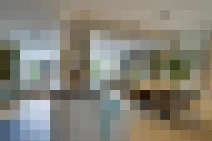 Amerikalaan 30 Son en Breugel foto 3