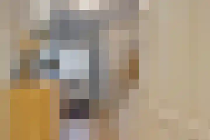 Amerikalaan 30 Son en Breugel thumbnail 30