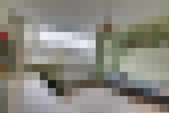Amerikalaan 30 Son en Breugel thumbnail 31