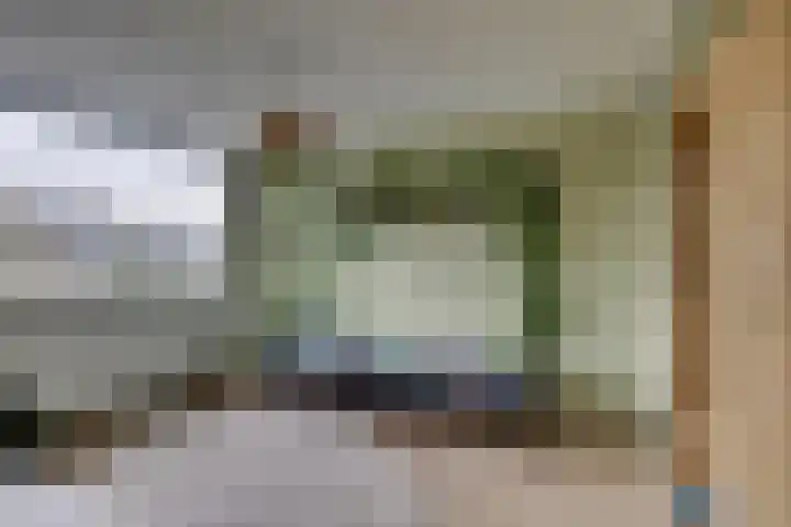 Amerikalaan 30 Son en Breugel thumbnail 32