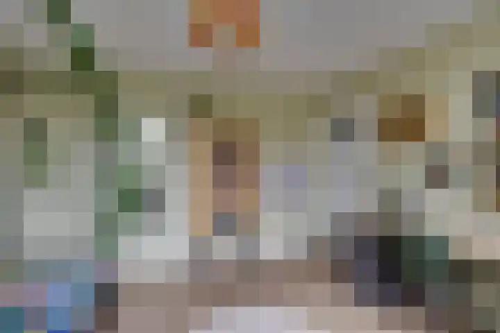 Amerikalaan 30 Son en Breugel thumbnail 33