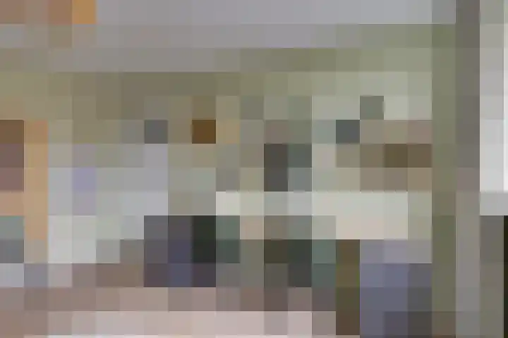 Amerikalaan 30 Son en Breugel thumbnail 34