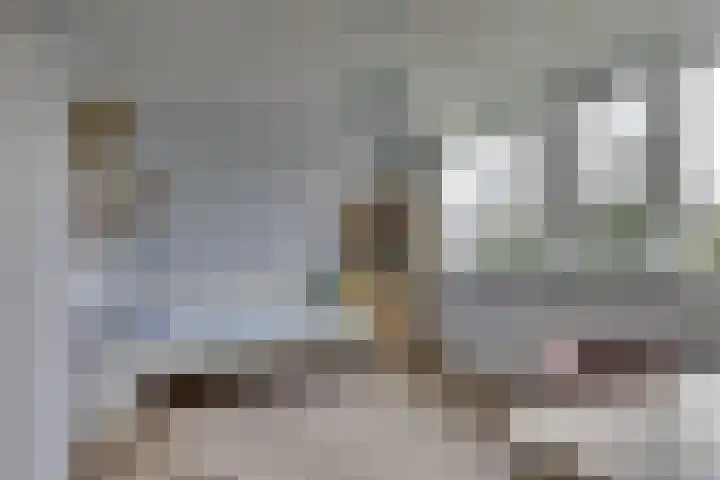Amerikalaan 30 Son en Breugel thumbnail 35