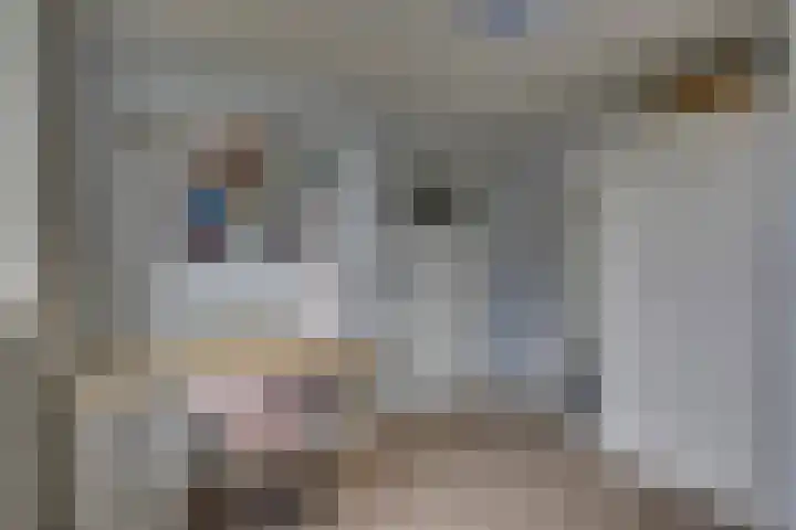 Amerikalaan 30 Son en Breugel thumbnail 36