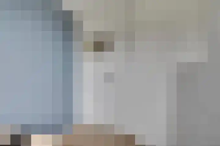 Amerikalaan 30 Son en Breugel thumbnail 38