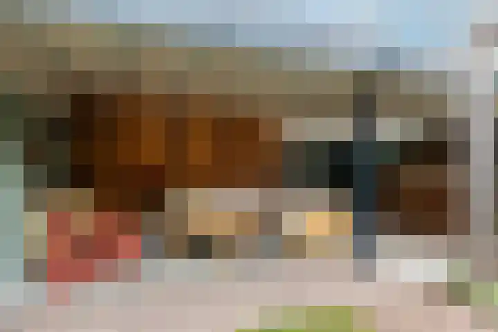 Amerikalaan 30 Son en Breugel thumbnail 4