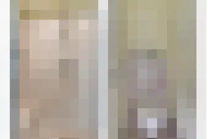Amerikalaan 30 Son en Breugel thumbnail 40