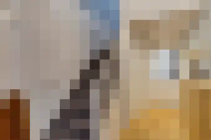 Amerikalaan 30 Son en Breugel thumbnail 43