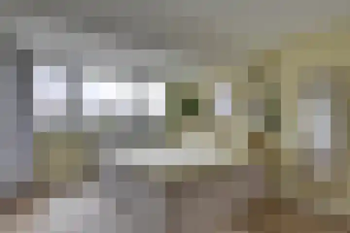 Amerikalaan 30 Son en Breugel thumbnail 48