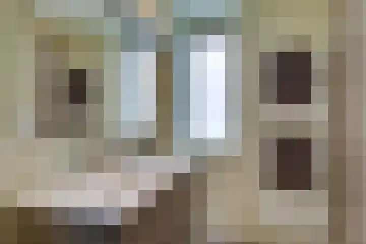 Amerikalaan 30 Son en Breugel thumbnail 5