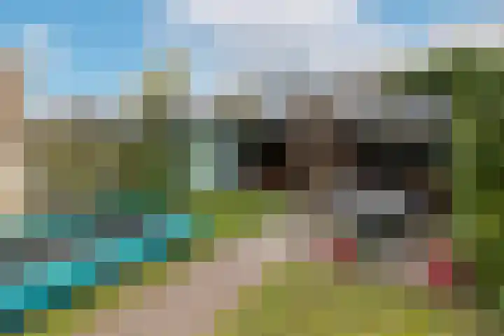 Amerikalaan 30 Son en Breugel thumbnail 50