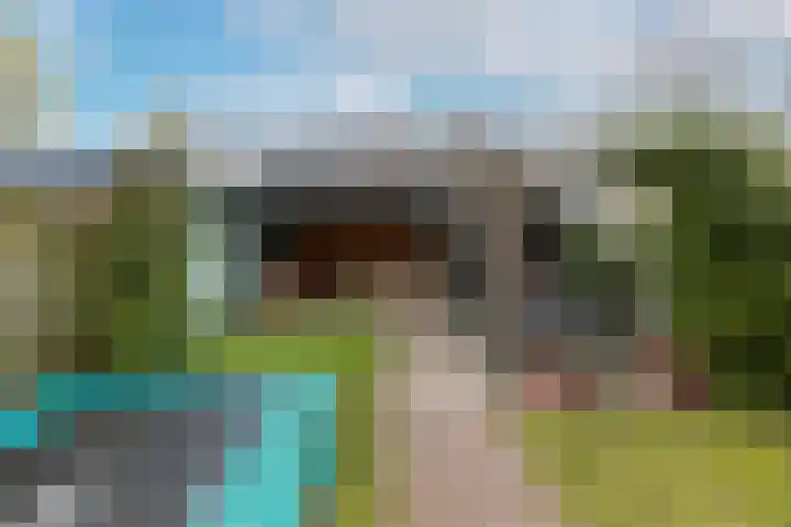 Amerikalaan 30 Son en Breugel thumbnail 51