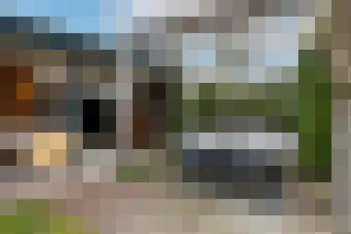 Amerikalaan 30 Son en Breugel thumbnail 52