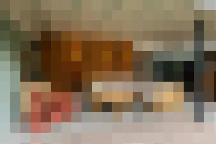 Amerikalaan 30 Son en Breugel thumbnail 53