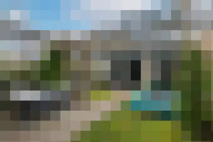 Amerikalaan 30 Son en Breugel thumbnail 54
