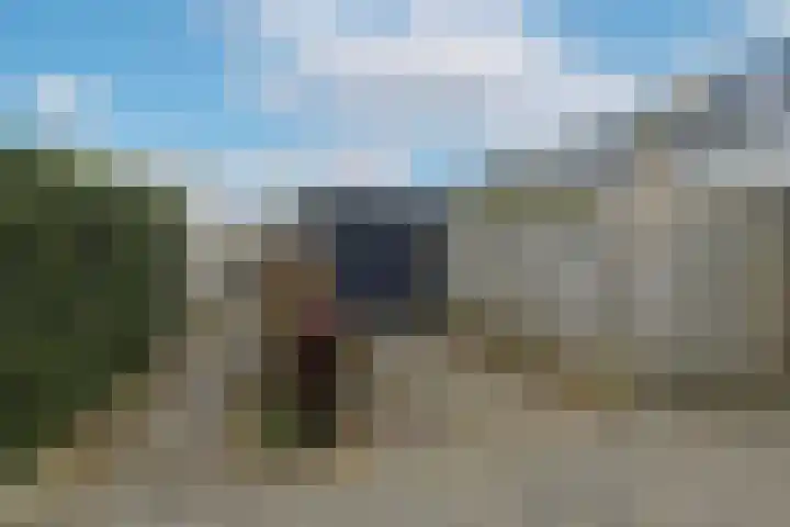 Amerikalaan 30 Son en Breugel thumbnail 57
