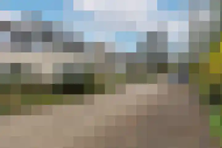 Amerikalaan 30 Son en Breugel thumbnail 58