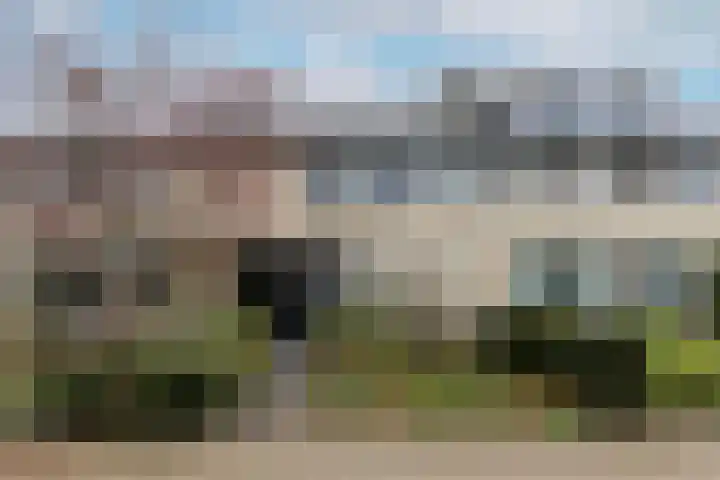 Amerikalaan 30 Son en Breugel thumbnail 60