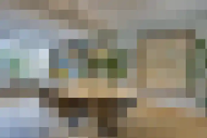 Amerikalaan 30 Son en Breugel thumbnail 7