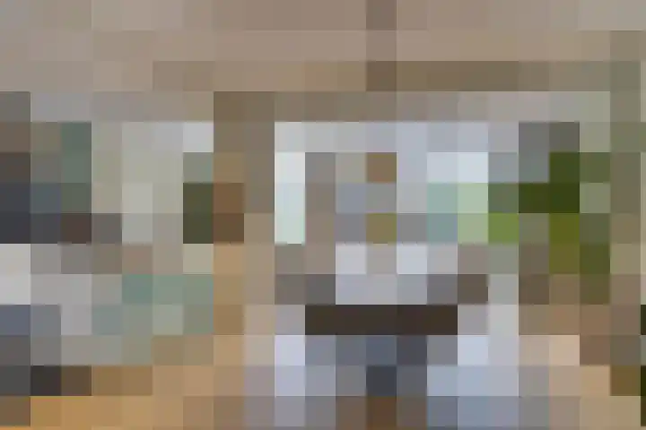 Amerikalaan 30 Son en Breugel thumbnail 8