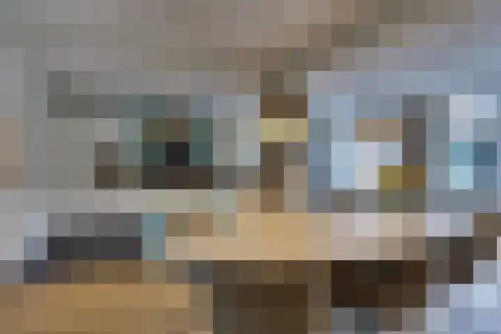 Amerikalaan 30 Son en Breugel thumbnail 9