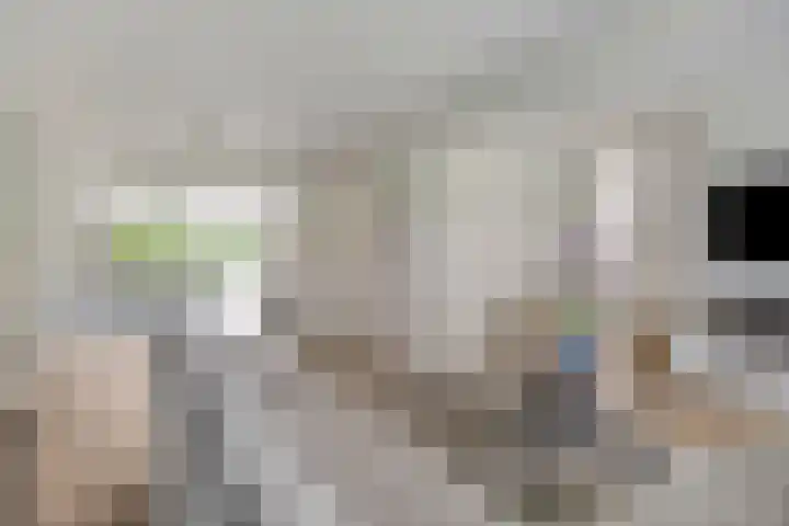 Amerikalaan 33 Son en Breugel thumbnail 10