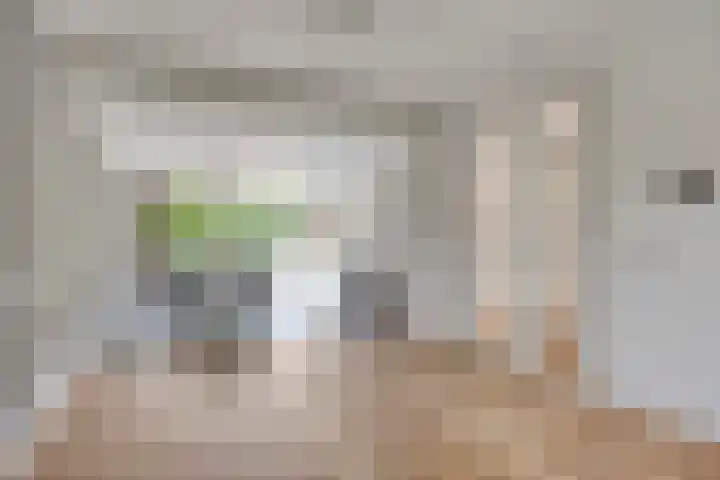 Amerikalaan 33 Son en Breugel thumbnail 11