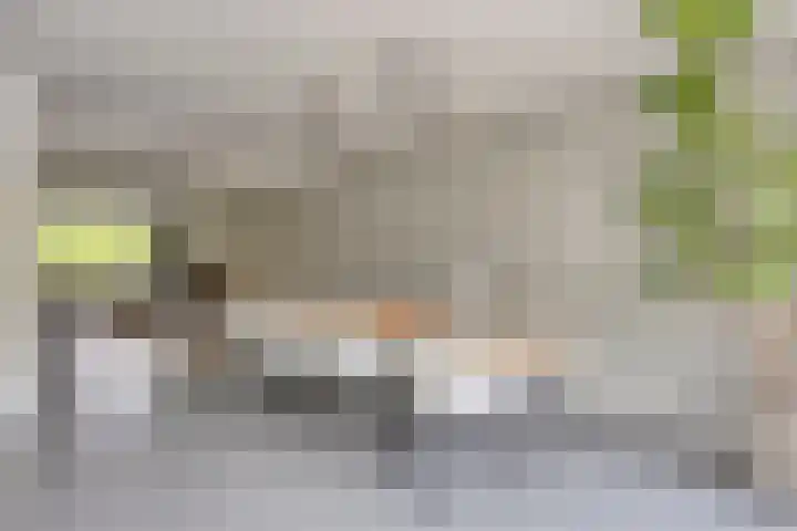 Amerikalaan 33 Son en Breugel thumbnail 13