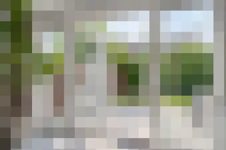 Amerikalaan 33 Son en Breugel thumbnail 16