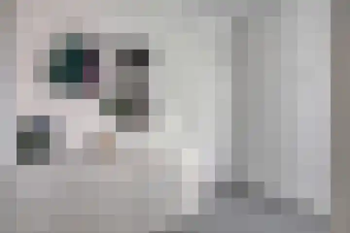 Amerikalaan 33 Son en Breugel thumbnail 17