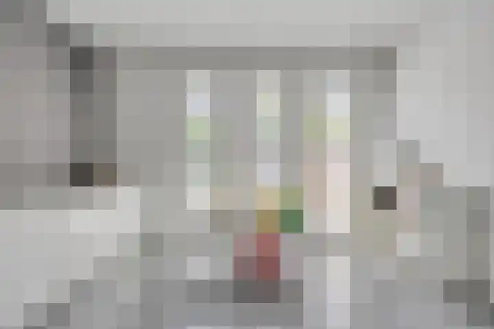 Amerikalaan 33 Son en Breugel thumbnail 19