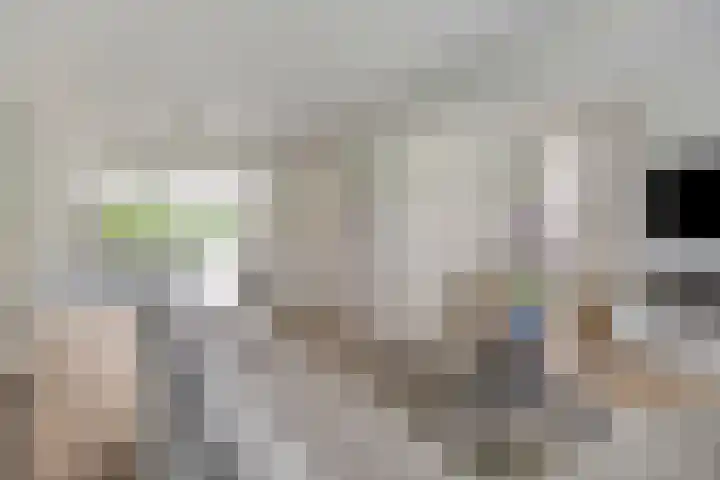 Amerikalaan 33 Son en Breugel foto 2
