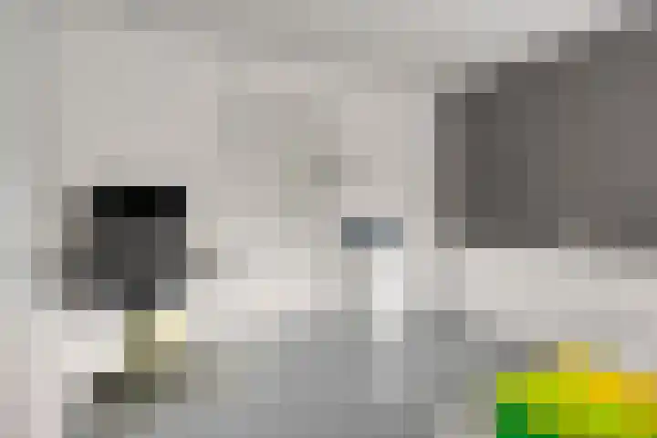 Amerikalaan 33 Son en Breugel thumbnail 20