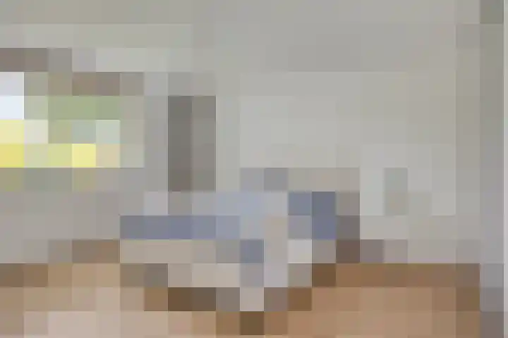 Amerikalaan 33 Son en Breugel thumbnail 23