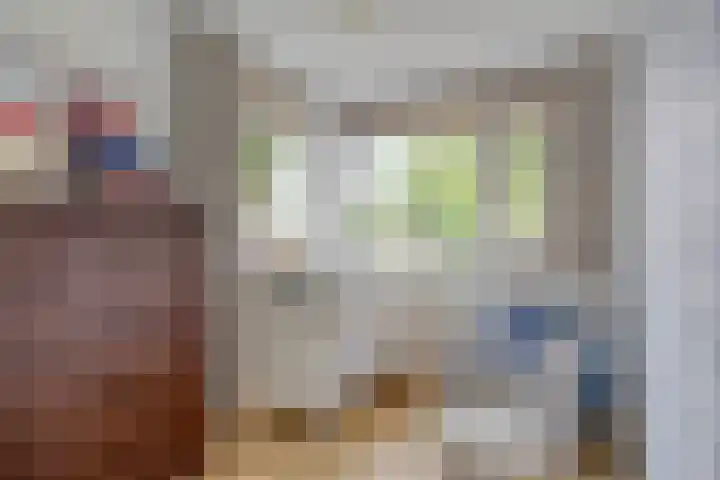 Amerikalaan 33 Son en Breugel thumbnail 27