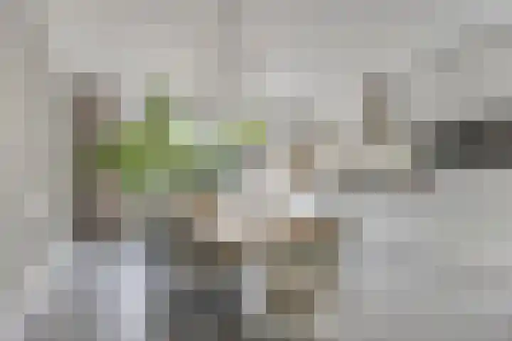 Amerikalaan 33 Son en Breugel foto 3