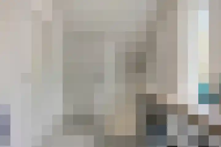 Amerikalaan 33 Son en Breugel thumbnail 32