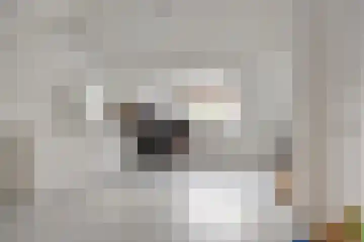 Amerikalaan 33 Son en Breugel thumbnail 33