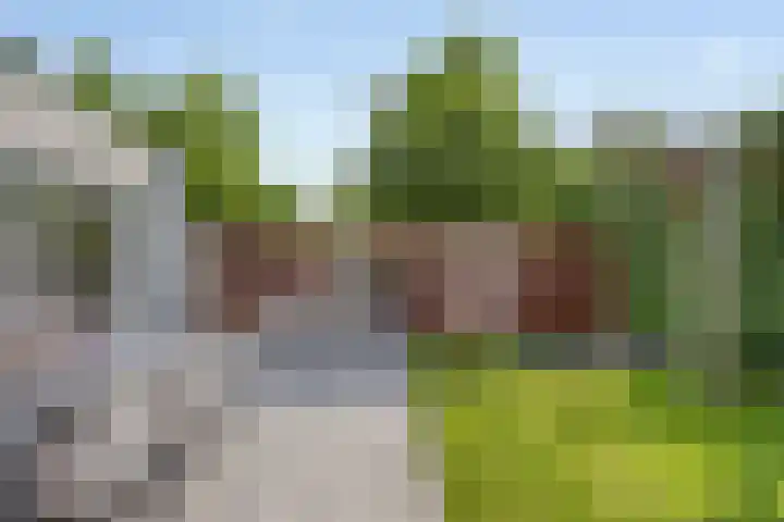 Amerikalaan 33 Son en Breugel thumbnail 36