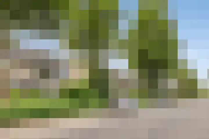 Amerikalaan 33 Son en Breugel thumbnail 37