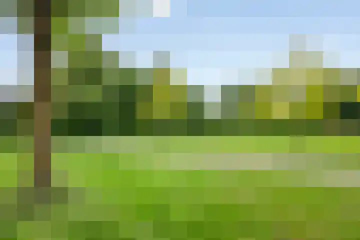 Amerikalaan 33 Son en Breugel thumbnail 40
