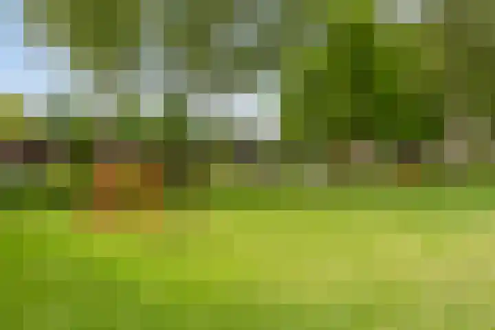 Amerikalaan 33 Son en Breugel thumbnail 41