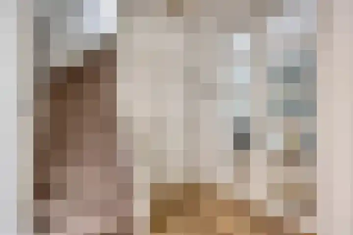 Amerikalaan 33 Son en Breugel thumbnail 6