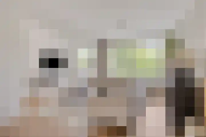 Amerikalaan 33 Son en Breugel thumbnail 7