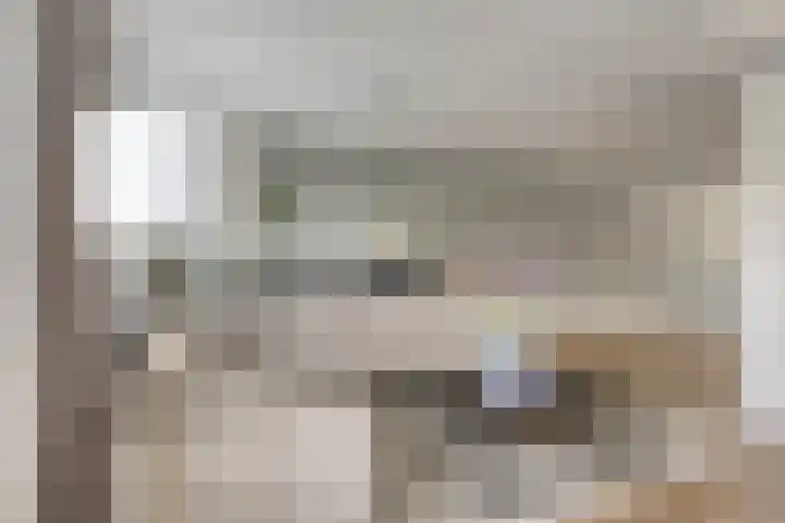 Amerikalaan 33 Son en Breugel thumbnail 9