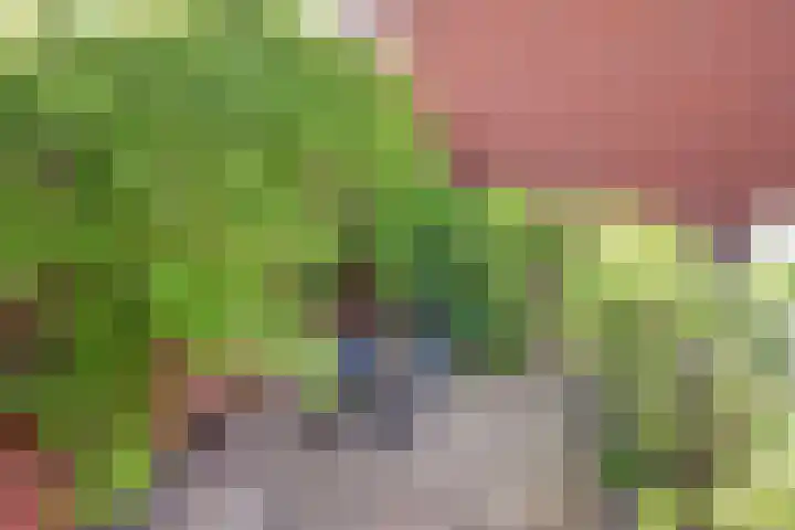 Amerikalaan 563 Utrecht thumbnail 29