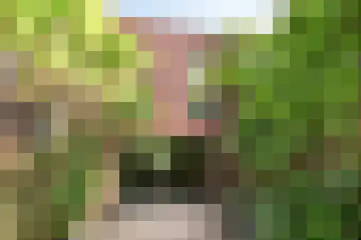 Amerikalaan 563 Utrecht thumbnail 5